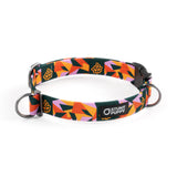 Stunt Puppy x TCM Everyday Collar