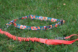 Stunt Puppy x TCM Stunt Runner Leash