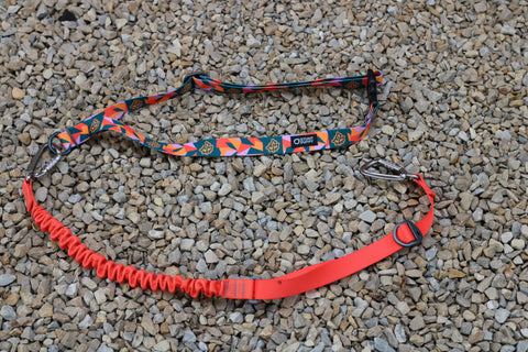 Stunt Puppy x TCM Stunt Runner Leash
