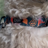 Stunt Puppy x TCM Everyday Collar